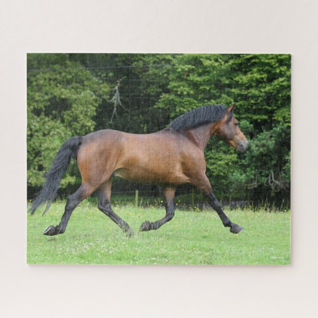Bob Langrish | New Forest Pony Stallion Jigsaw Puzzle (Horizontal)