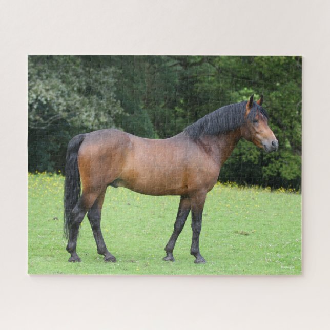 Bob Langrish | New Forest Pony Standing Jigsaw Puzzle (Horizontal)