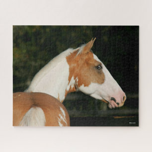Bob Langrish Paint Horse Headshot Jigsaw Puzzle
