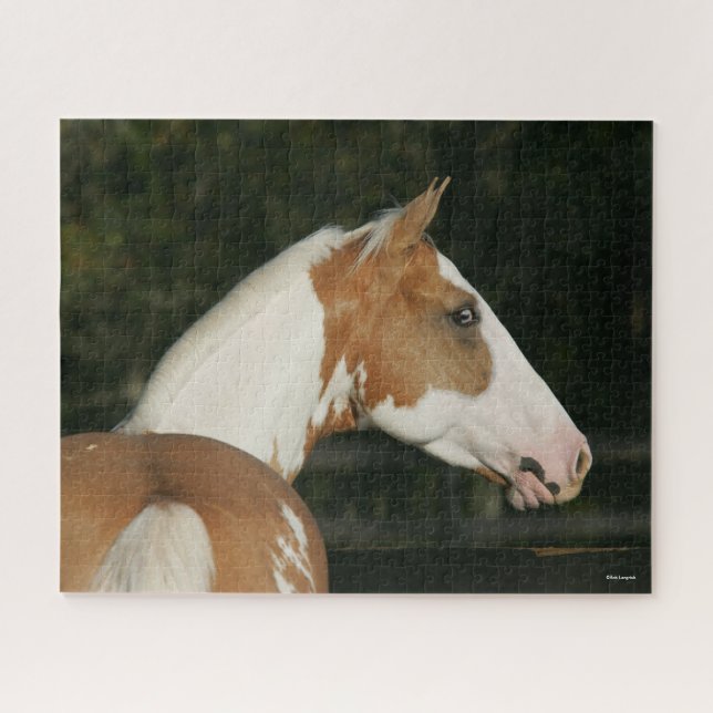 Bob Langrish | Paint Horse Headshot Jigsaw Puzzle (Horizontal)