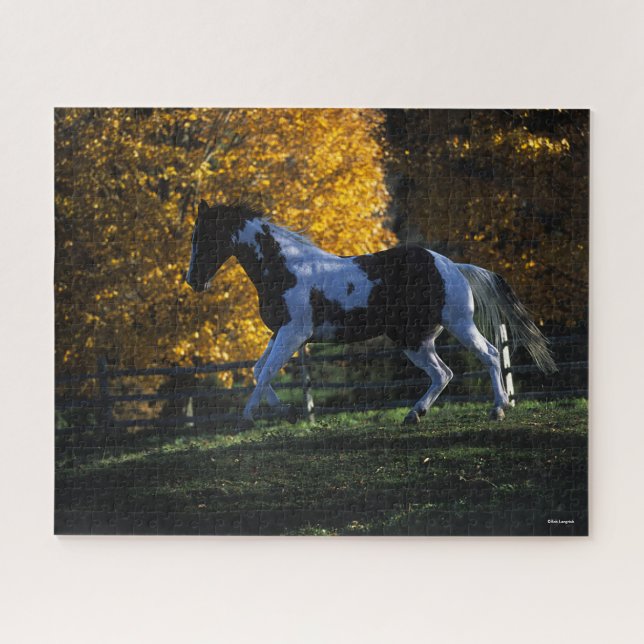 Bob Langrish | Paint Horse Running  Autumn Jigsaw Puzzle (Horizontal)