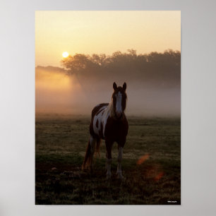 Bob Langrish   Paint Horse Standing Mist Sunrise Poster