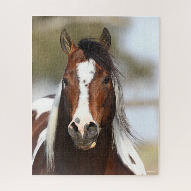 Bob Langrish | Paint Stallion Headshot Jigsaw Puzzle (Vertical)