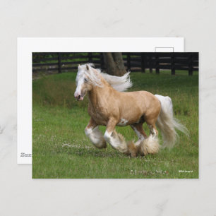 Bob Langrish   Palomino Gypsy Vanner Horse Running Postcard