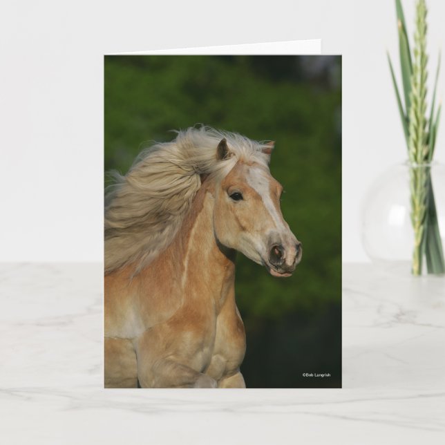 Bob Langrish | Palomino Haflinger Headshot Card (Front)