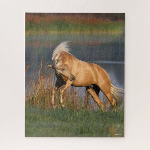 Bob Langrish   Palomino Lusitano Stallion Bucking Jigsaw Puzzle