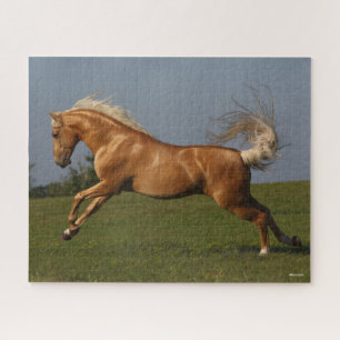 Bob Langrish   Palomino Lusitano Stallion Leaping Jigsaw Puzzle