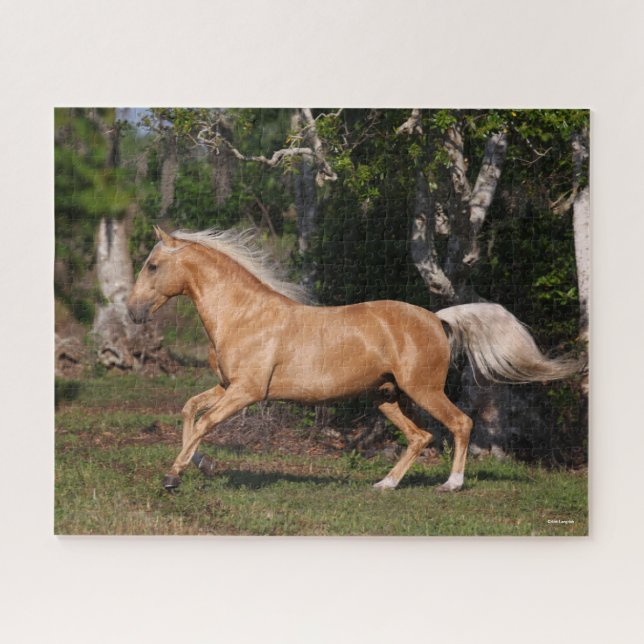 Bob Langrish | Palomino Lusitano Stallion Running Jigsaw Puzzle (Horizontal)