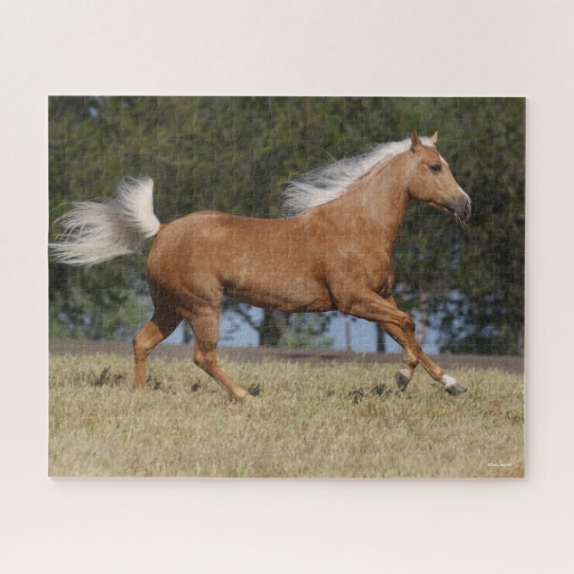 Bob Langrish | Palomino Quarter Horse Running Jigsaw Puzzle (Horizontal)