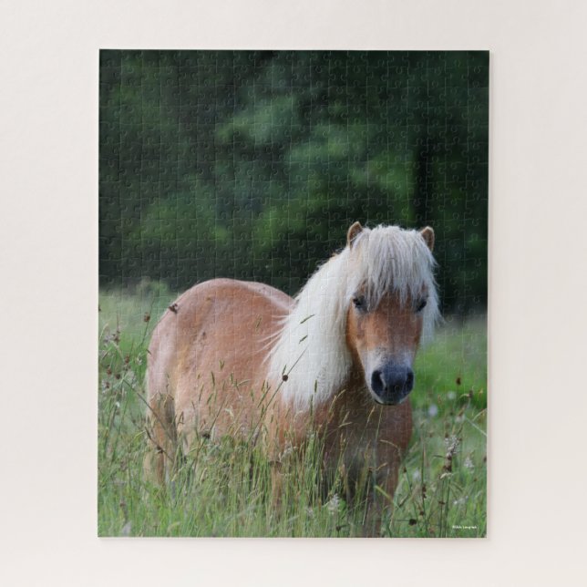 Bob Langrish | Palomino Shetland Standing In Grass Jigsaw Puzzle (Vertical)