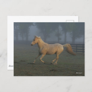 Bob Langrish   Palomino Tennessee Walker in Mist Postcard
