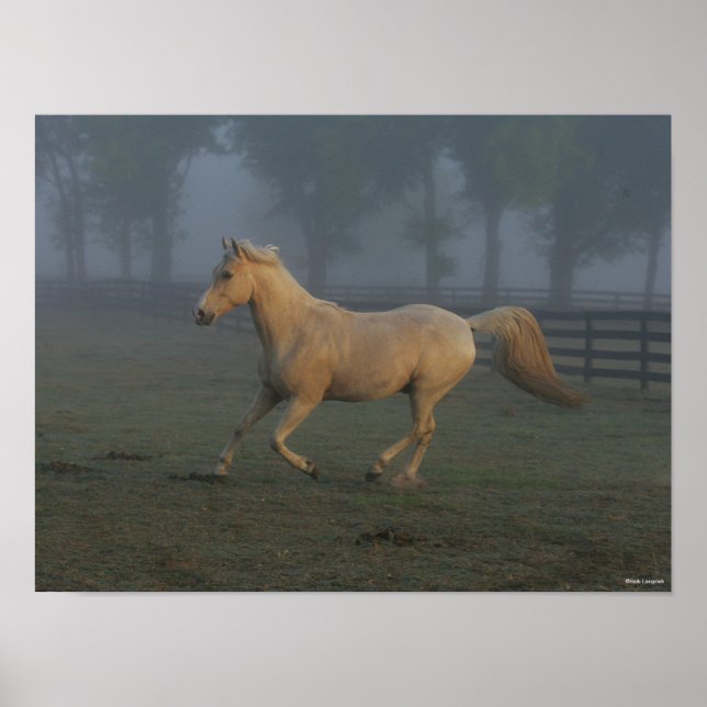 Bob Langrish | Palomino Tennessee Walker in Mist Poster (Front)