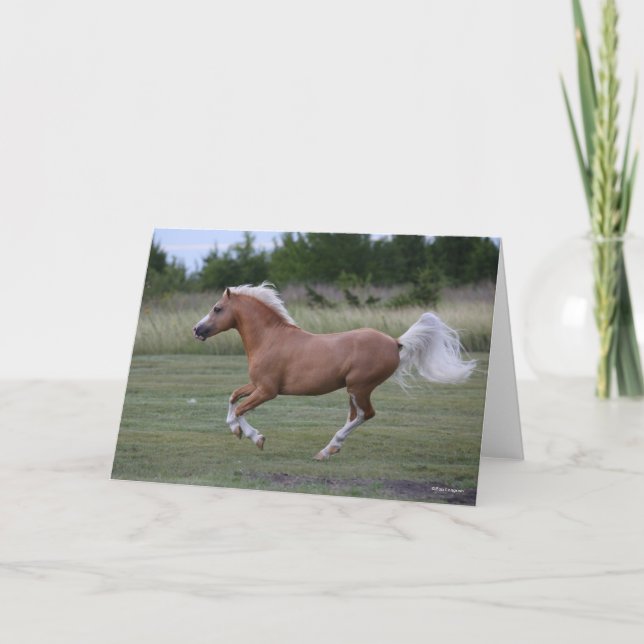 Bob Langrish | Palomino Welsh Pony Running Card (Front)