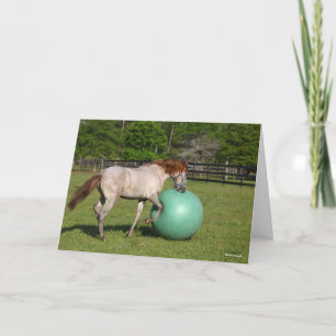 Bob Langrish   Paso Fino Horse Playing With Ball Card