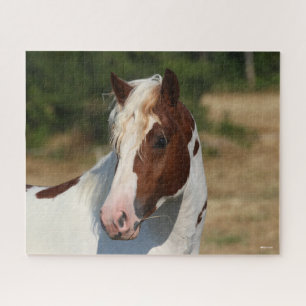 Bob Langrish Pinto Haflinger Stallion Headshot Jigsaw Puzzle