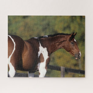Bob Langrish Pinto Warmblood Standing Headshot Jigsaw Puzzle