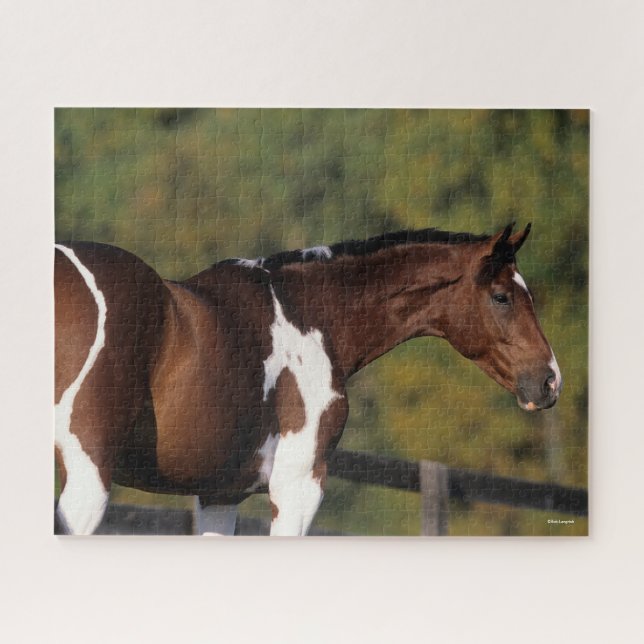 Bob Langrish | Pinto Warmblood Standing Headshot Jigsaw Puzzle (Horizontal)