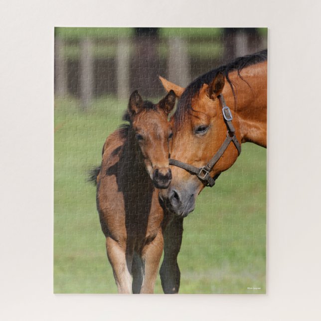 Bob Langrish Quarter Horse Mare and Foal Cuddling Jigsaw Puzzle (Vertical)