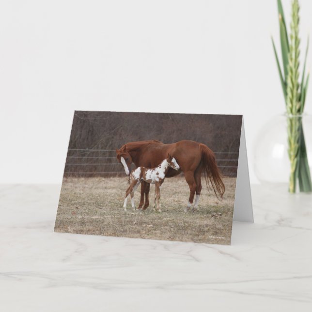 Bob Langrish | Quarter Horse Mare and Paint Foal Card (Front)
