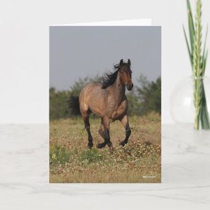 Bob Langrish   Quarter Horse Running In Flowers Card