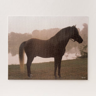 Bob Langrish Rocky Mountain Horse Standing Backlit Jigsaw Puzzle