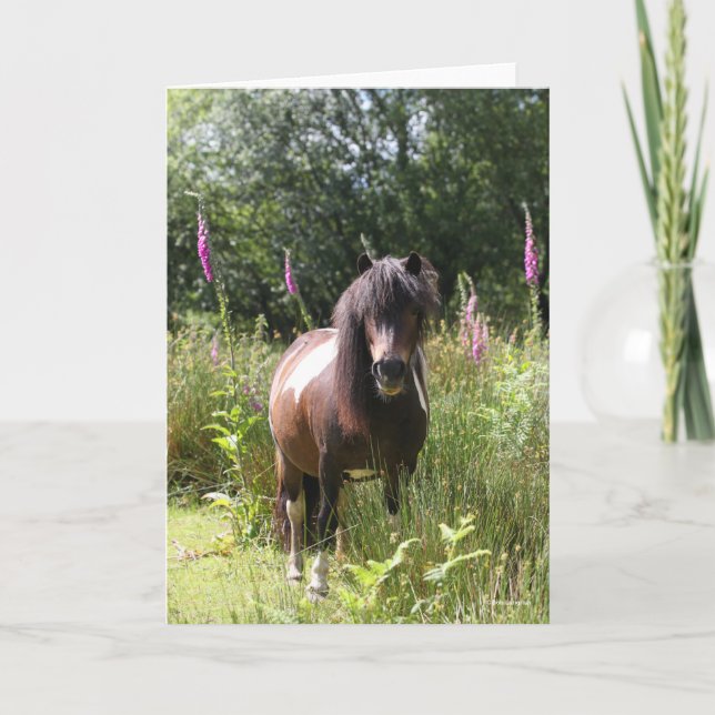 Bob Langrish | Shetland Pony Standing By Flowers Card (Front)