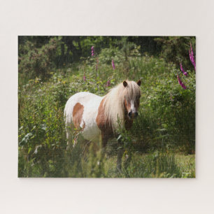 Bob Langrish   Shetland Pony Standing In Flowers Jigsaw Puzzle