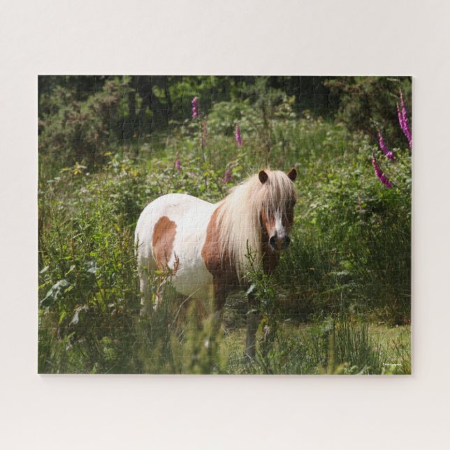 Bob Langrish | Shetland Pony Standing In Flowers Jigsaw Puzzle (Horizontal)