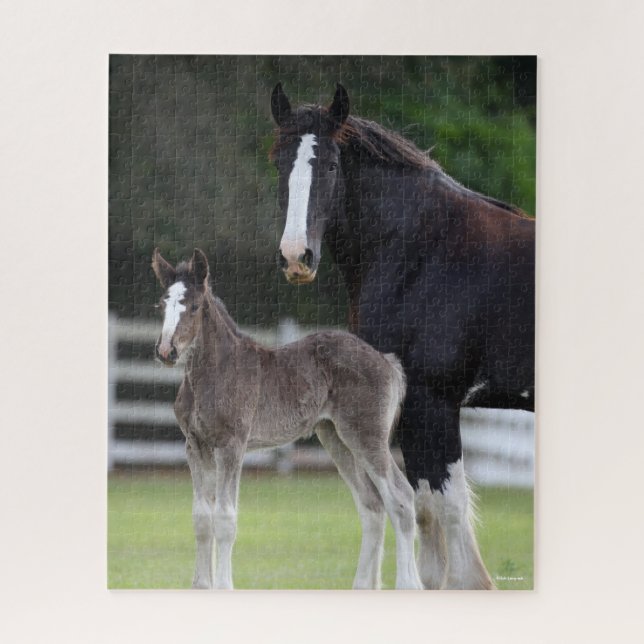 Bob Langrish | Shire Horse Mare and Foal Standing Jigsaw Puzzle (Vertical)