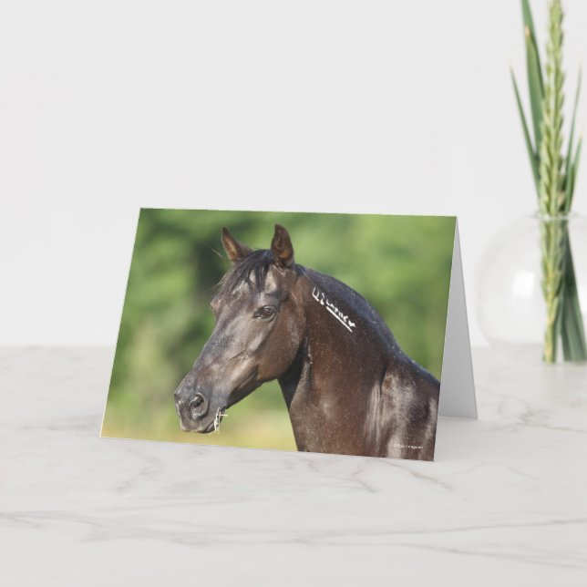 Bob Langrish | Spanish Mustang Mare Headshot Card (Front)