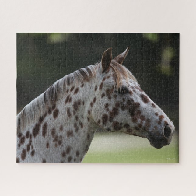 Bob Langrish | Spotty Appaloosa Headshot Jigsaw Puzzle (Horizontal)