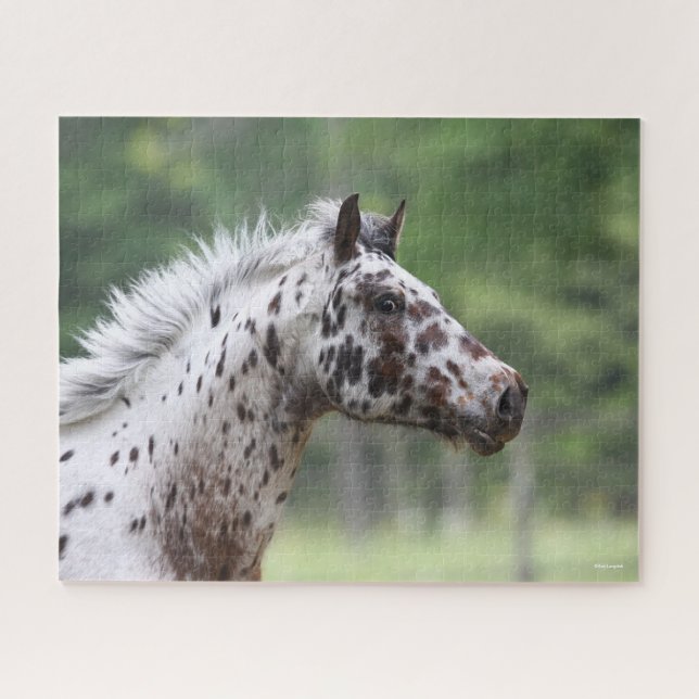 Bob Langrish | Spotty Knapstrupper Headshot Jigsaw Puzzle (Horizontal)
