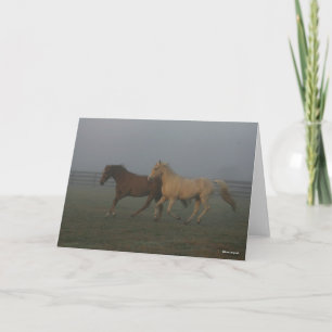 Bob Langrish   Tennessee Walking Horses Running Card