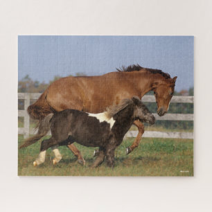 Bob Langrish Thoroughbred and Shetland Pony Jigsaw Puzzle