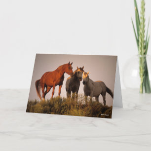 Bob Langrish Three Arab Horses Standing At Sunset Card