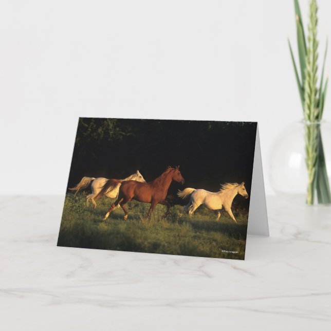 Bob Langrish Three Arabs Running In Evening Light Card (Front)