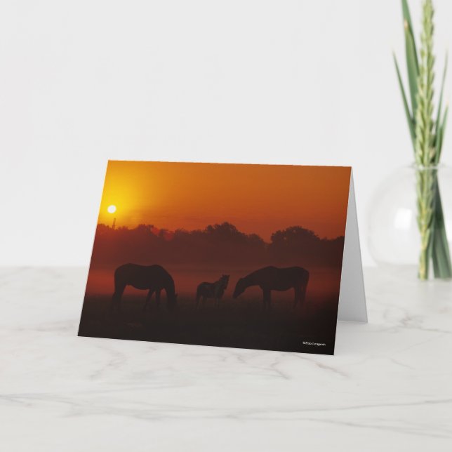 Bob Langrish | Three Horses Grazing at Sunset Card (Front)