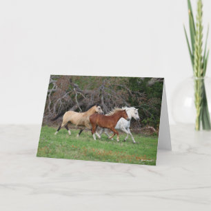 Bob Langrish   Three Ponies Running Together Card