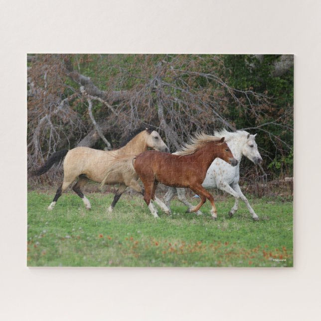 Bob Langrish | Three Ponies Running Together Jigsaw Puzzle (Horizontal)