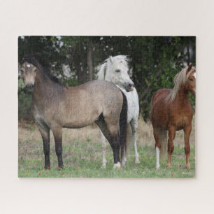 Bob Langrish   Three Ponies Standing Together Jigsaw Puzzle