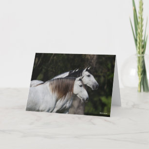 Bob Langrish   Two Andalucians Standing Together Card