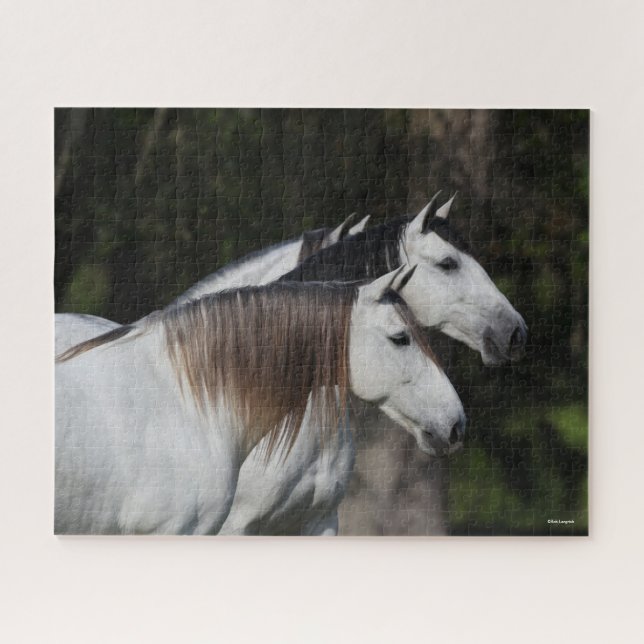 Bob Langrish | Two Andalucians Standing Together Jigsaw Puzzle (Horizontal)