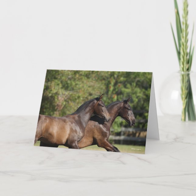 Bob Langrish | Two Brown Andalucian Horses Running Card (Front)