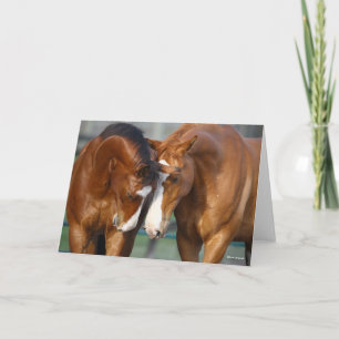 Bob Langrish   Two Canadian Sport Horses Meeting Card
