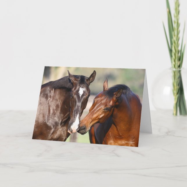 Bob Langrish | Two Canadian Sport Horses Meeting Card (Front)