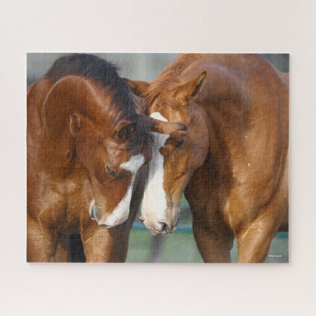 Bob Langrish | Two Canadian Sport Horses Meeting Jigsaw Puzzle (Horizontal)
