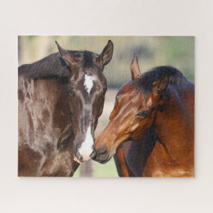 Bob Langrish Two Canadian Sport Horses Meeting Jigsaw Puzzle