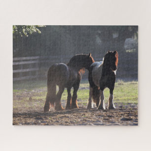 Bob Langrish Two Gypsy Vanners In Field Backlit Jigsaw Puzzle