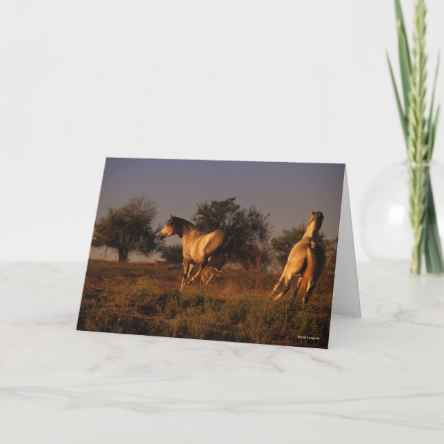 Bob Langrish | Two Horses Running In Sunset Card (Front)