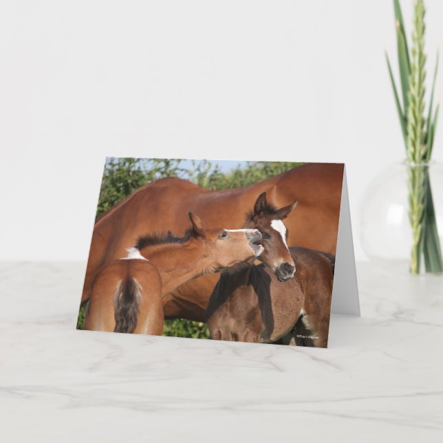 Bob Langrish | Two Irish Sport Horse Foals Playing Card (Front)